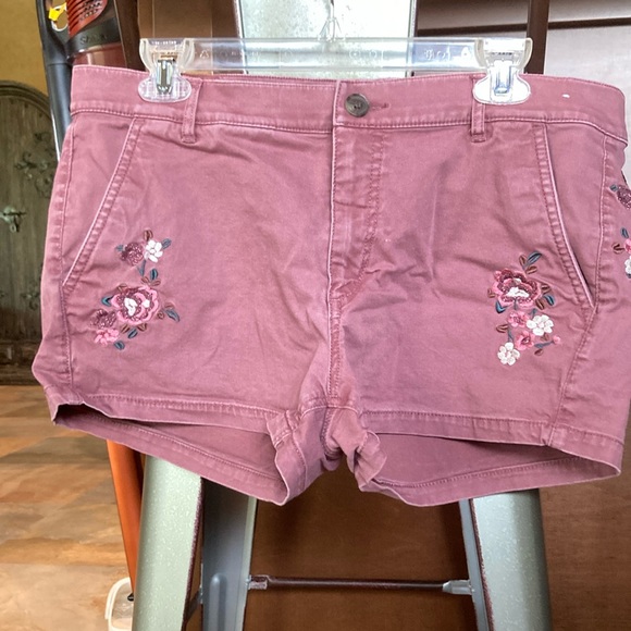 Express Pants - Express shorts